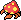 pZNg