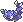 XRs
