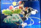 Ql摜